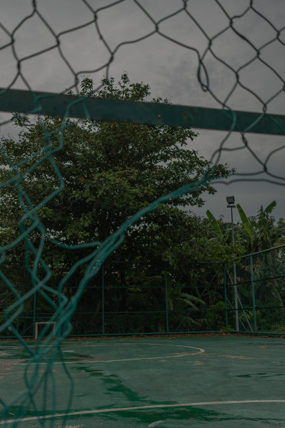 庭院铁丝网与大自然，树木近距离接触图片下载