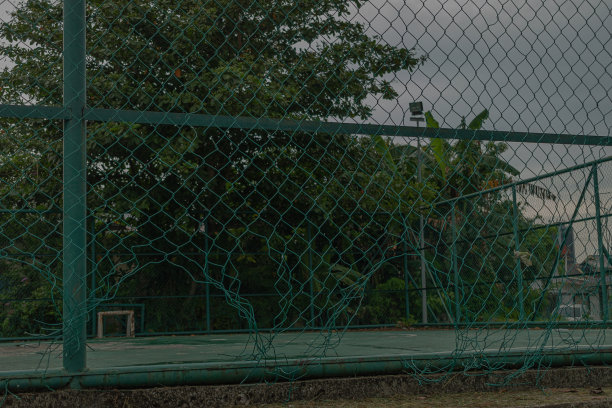 法院铁丝网与自然，树木图片下载