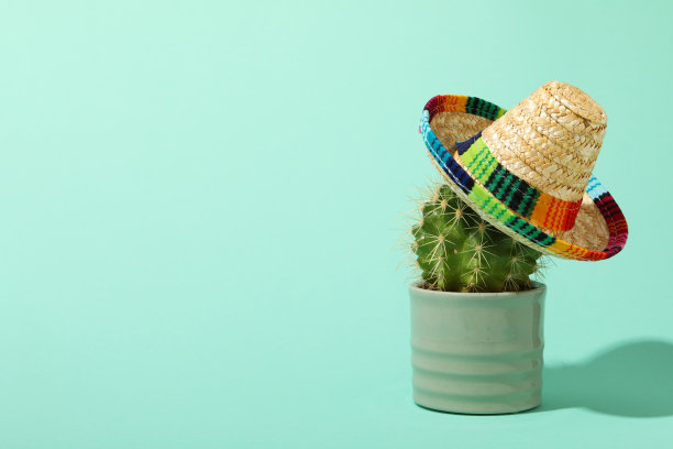 构图为五月五日节概念，空间为文字图片下载