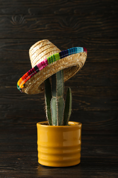 五月五日节作曲-墨西哥国定假日图片下载