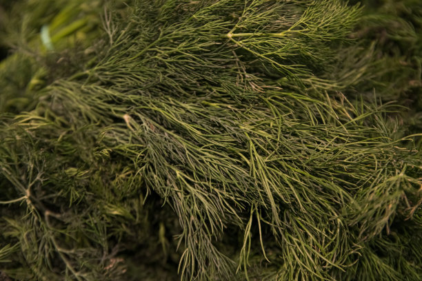 超市小茴香的照片，为你做广告的照片图片下载