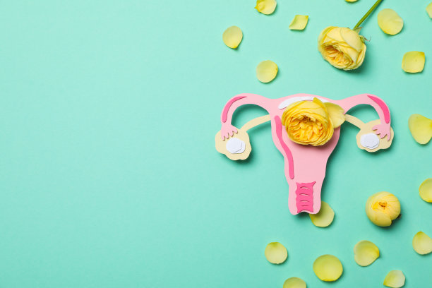 女性健康概念与子宫图片下载