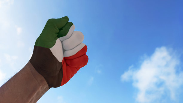 在略微多云的蓝天背景下，攥紧的拳头里插着科威特国旗。图片下载