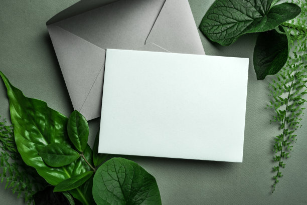 空白的贺卡和绿叶图片下载