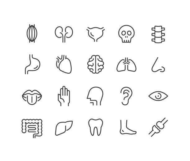 人体器官图标-经典系列图片下载