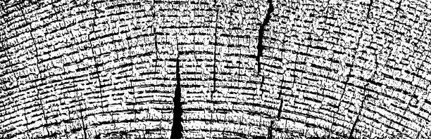 木材纹理图片下载