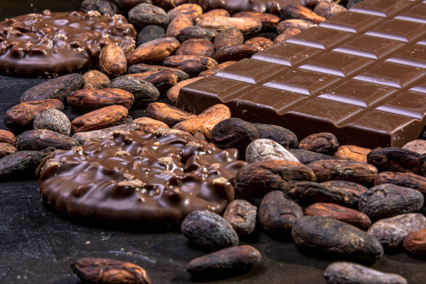 牛奶巧克力片配上蘸有巧克力和不同配料的饼干。图片下载