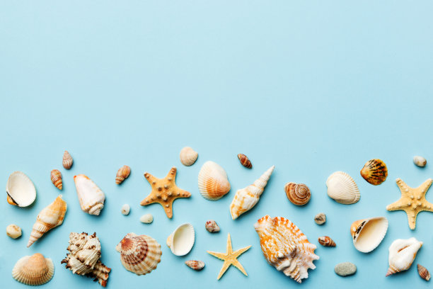 在彩色的桌子上平铺着美丽的海星和海贝壳的构图，顶部有文字的复制空间图片下载