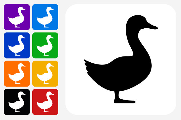 鸭子图标方形按钮套装图片下载