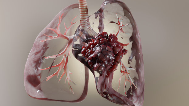 3d，解剖学，解剖学，生物学，身体，呼吸，呼吸，支气管，支气管，癌症，癌，护理，胸部，香烟，诊所，概念，损害，诊断，疾病，流感，健康，健康，人类，疾病，感染，隔离，肺，肺，人，医疗，媒体图片下载