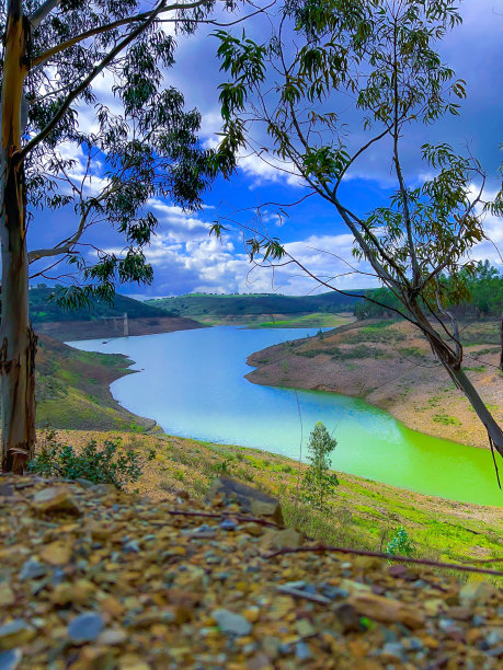 风景如画的照片，一条蜿蜒的绿色河流，被树木和树叶包围图片下载