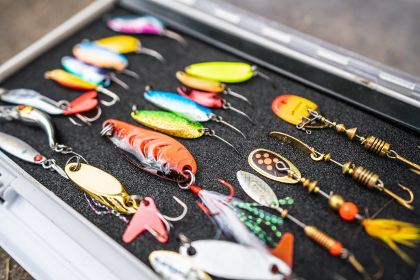 渔具和鱼饵在开放的塑料容器中图片下载