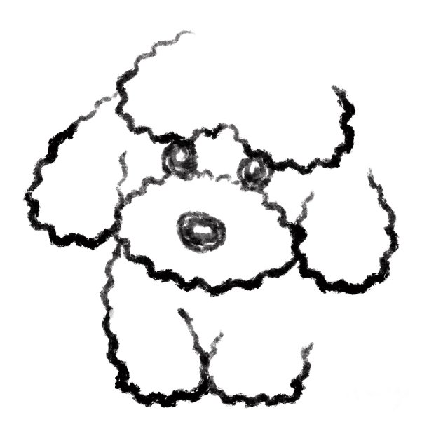 一个玩具贵宾犬的单色素描图片下载