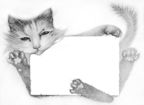 一件艺术品的时尚插图，一个美丽的铅笔猫的人物抱着问候卡的腿肖像图片下载