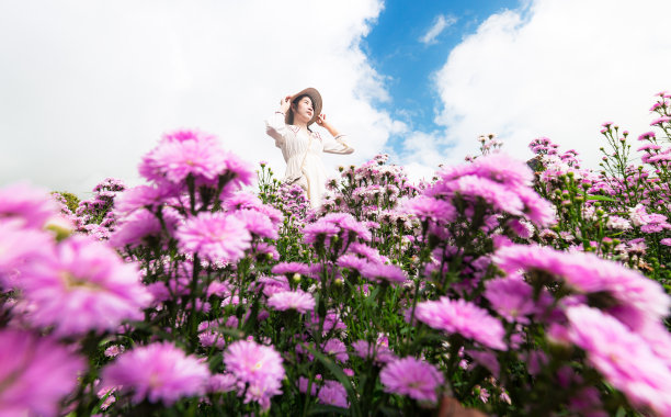 玛格丽特花田和女人，十几岁的女孩在花园里的花，年轻快乐的亚洲女孩在花园里的玛格丽特·阿斯特花田在清迈图片下载