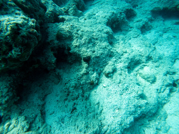 海底深处的岩石。图片下载