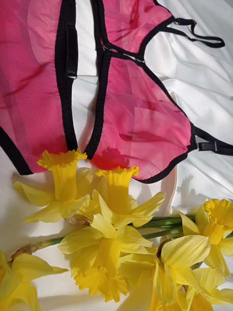 一套内衣制成的粉红色网。背景是白色的。黄色的花朵。图片下载