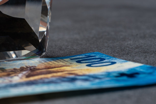 一百瑞士法郎和一颗钻石。图片下载