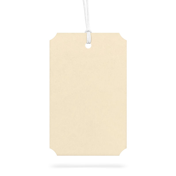 牛皮纸吊牌用细绳。非常感谢你的补充信息。矢量插图隔离在白色背景上。图片下载