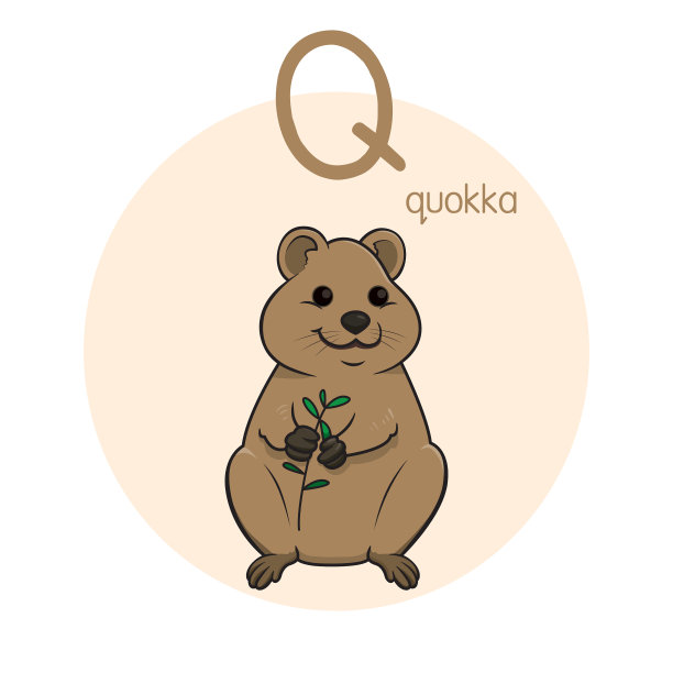 向量插图短尾矮袋鼠与字母Q大写字母或大写字母的儿童学习练习ABC图片下载