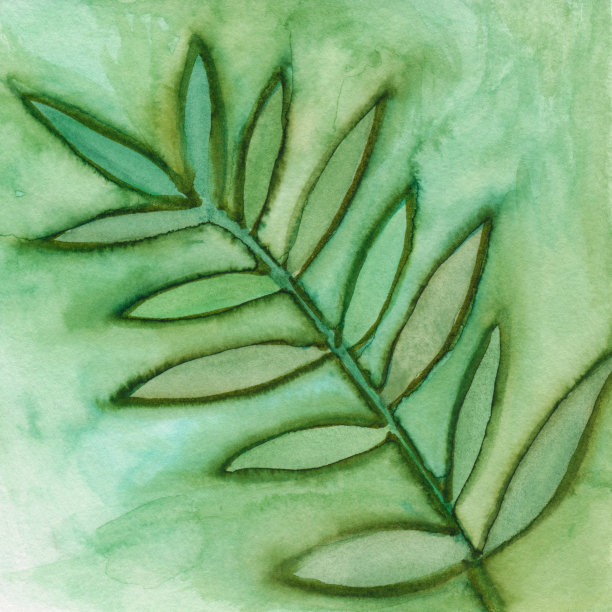 手绘的绿色叶子轮廓图片下载