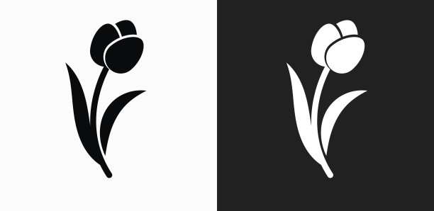 郁金香图标在黑色和白色矢量背景图片下载