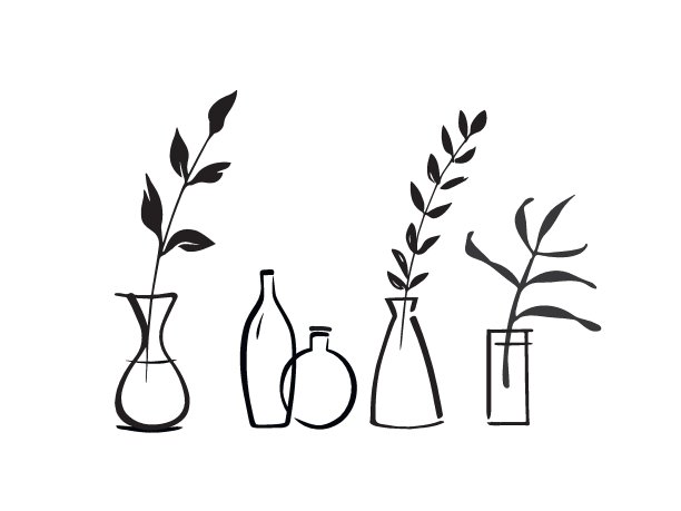 手绘花瓶和植物。图片下载