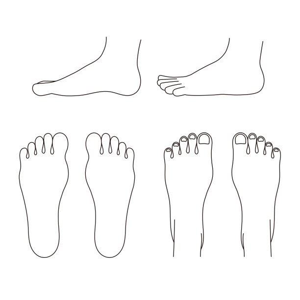 简单的单色插图的鞋底，脚背，和侧面图片下载