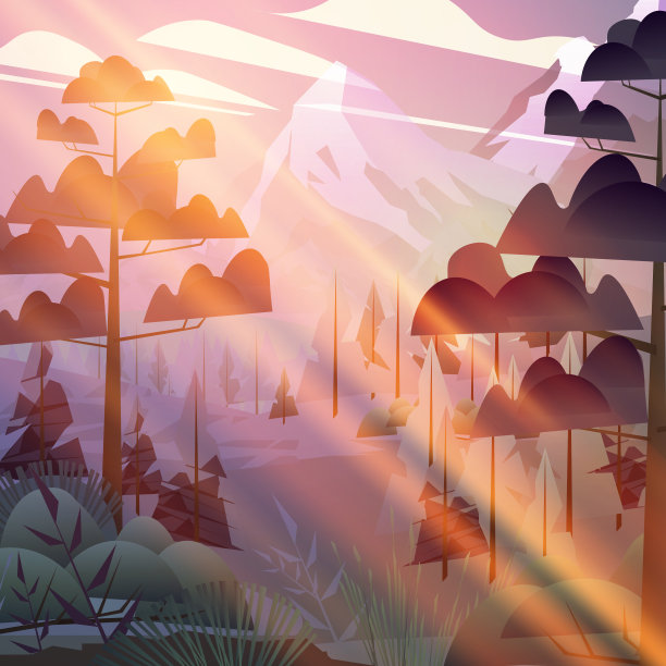 黎明时山上的森林图片下载