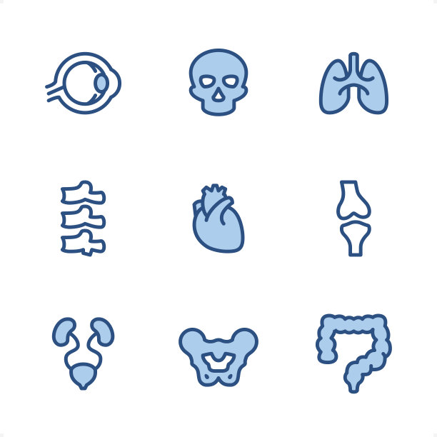 内部器官-像素完美蓝色图标图片下载