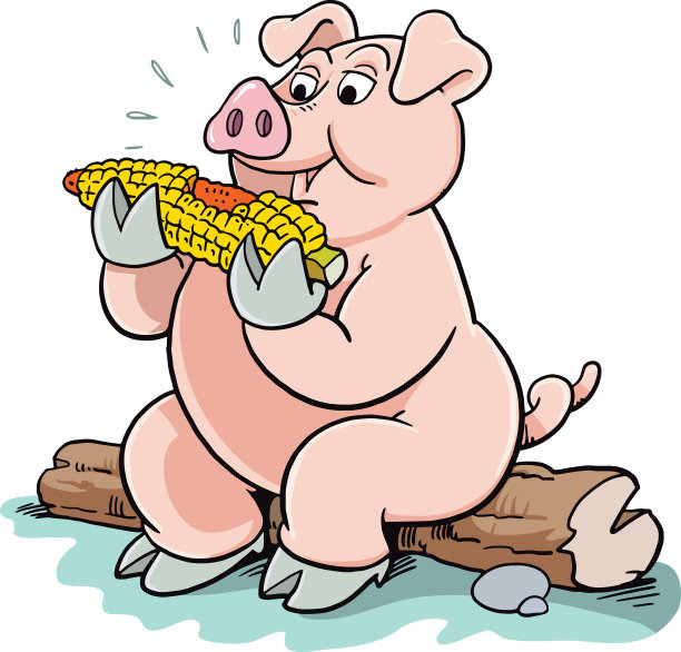 猪吃玉米图片下载