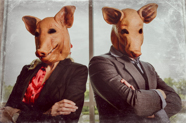 公司的猪图片下载