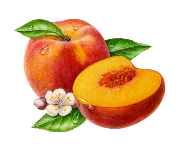 桃子和一半图片下载