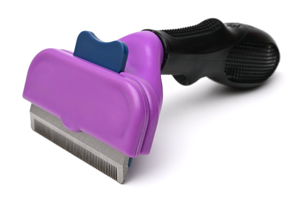 猫和狗的发霉机图片下载