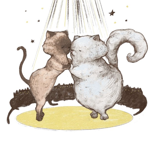 可爱的猫咪跳探戈图片下载