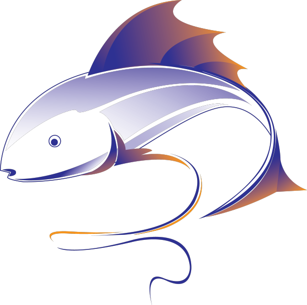 鱼的形象，象征运动中的鱼图片下载