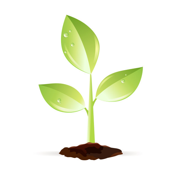 闪亮的植物图片下载