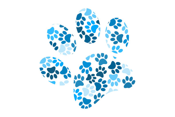 更多颜色的爪子，使动物爪子壁纸。动物爪子的背景。图片下载