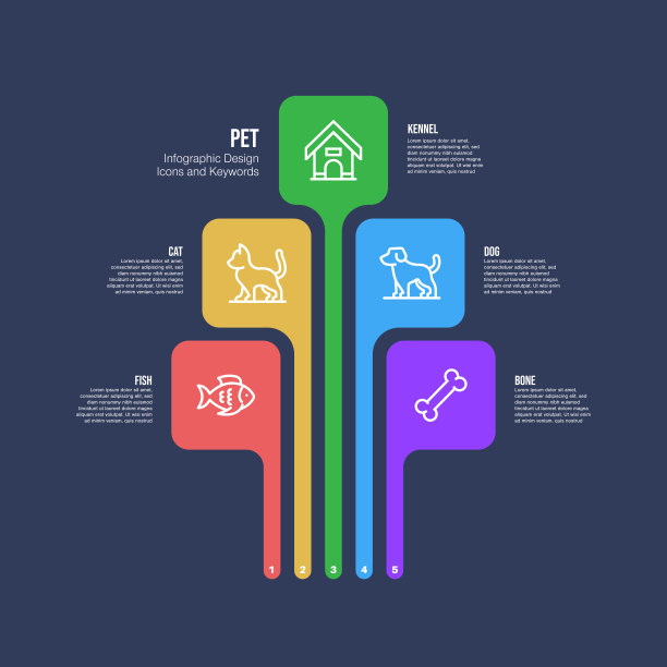 信息图表设计模板与宠物的关键字和图标图片下载