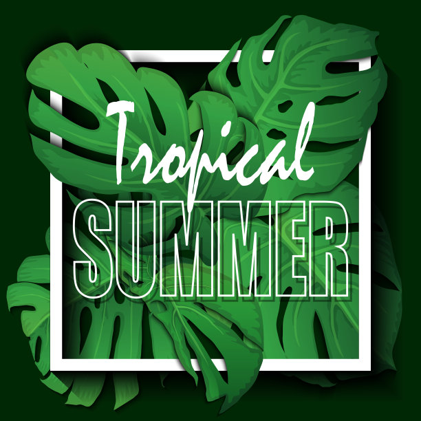 花的热带夏季背景与怪物的叶子。夏季热带叶背景与外来棕榈叶。党传单模板。书法刻字。销售横幅，海报与棕榈叶，丛林叶和手写字母。图片下载