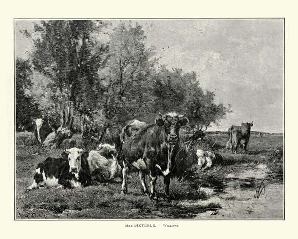 牛在柳树旁的田野里，19世纪图片下载