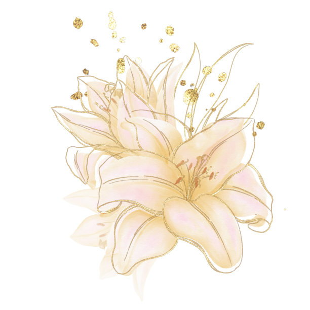 装饰花卉插图黄百合，节日装饰图片下载