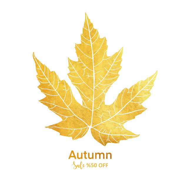 秋天销售设计与黄金手画秋天树叶背景。花框架孤立的背景。几何框架邀请卡模板与秋叶。矢量花的边界设计元素生日，感恩节卡片，婚礼邀请。图片下载