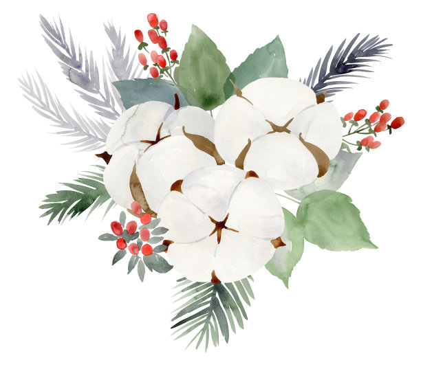 水彩圣诞花束与鲜花。图片下载