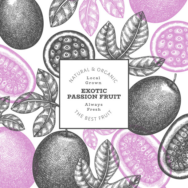 手绘素描风格的百香果横幅图片下载