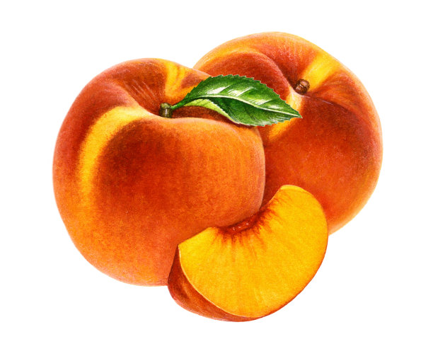 桃二与楔图片下载