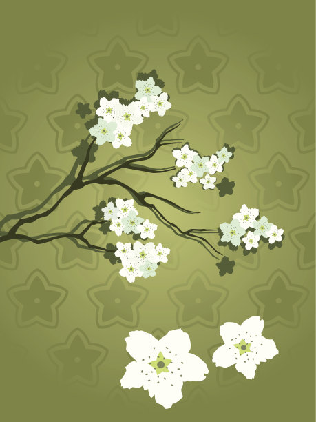 樱花的背景图片下载