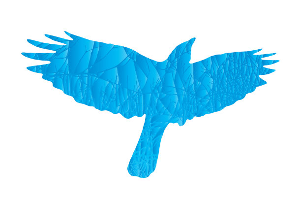 多次暴露在飞天乌鸦和树木下图片下载