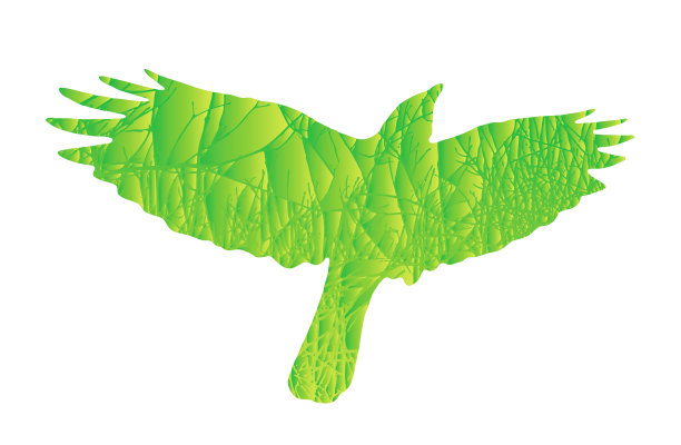 多次暴露在飞天乌鸦和树木下图片下载