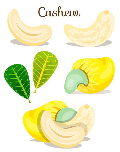 设置坚果图片下载